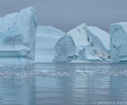 Northeast Greenland Icebergs September Sandra Petrowitz Oceanwide Expeditions.jpg Sandra Petrowitz